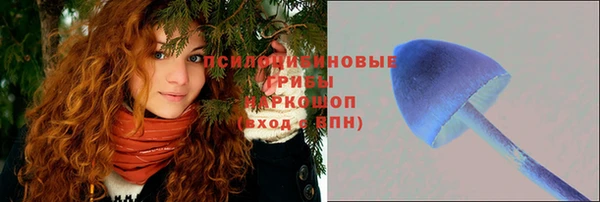 твердый Аркадак