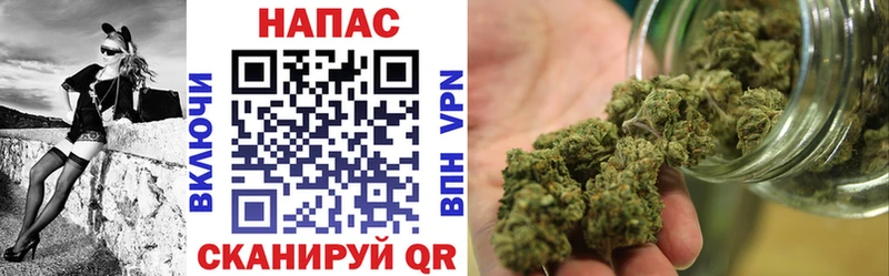 магазин    Мценск  Бошки марихуана индика 